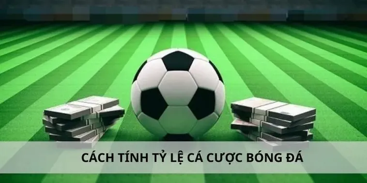 Tìm Hiểu Cá Cược Bóng Đá W88: Bí Quyết Thành Công Cho Người Chơi 2 Tìm Hiểu Cá Cược Bóng Đá W88: Bí Quyết Thành Công Cho Người Chơi