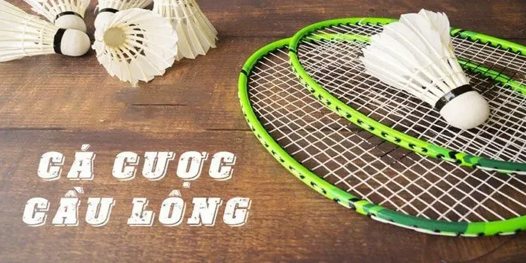 Cách Chơi Cá Cược Cầu Lông W88 Thành Công Với Chiến Thuật Đỉnh Cao