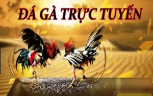 Cách Chơi Đá Gà GA28 Tại W88 Chuẩn Xác Dành Cho Tân Thủ