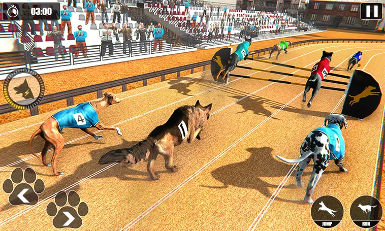 Hướng Dẫn Cách Chơi Game Nhanh Đua Chó Tại W88 Hiệu Quả